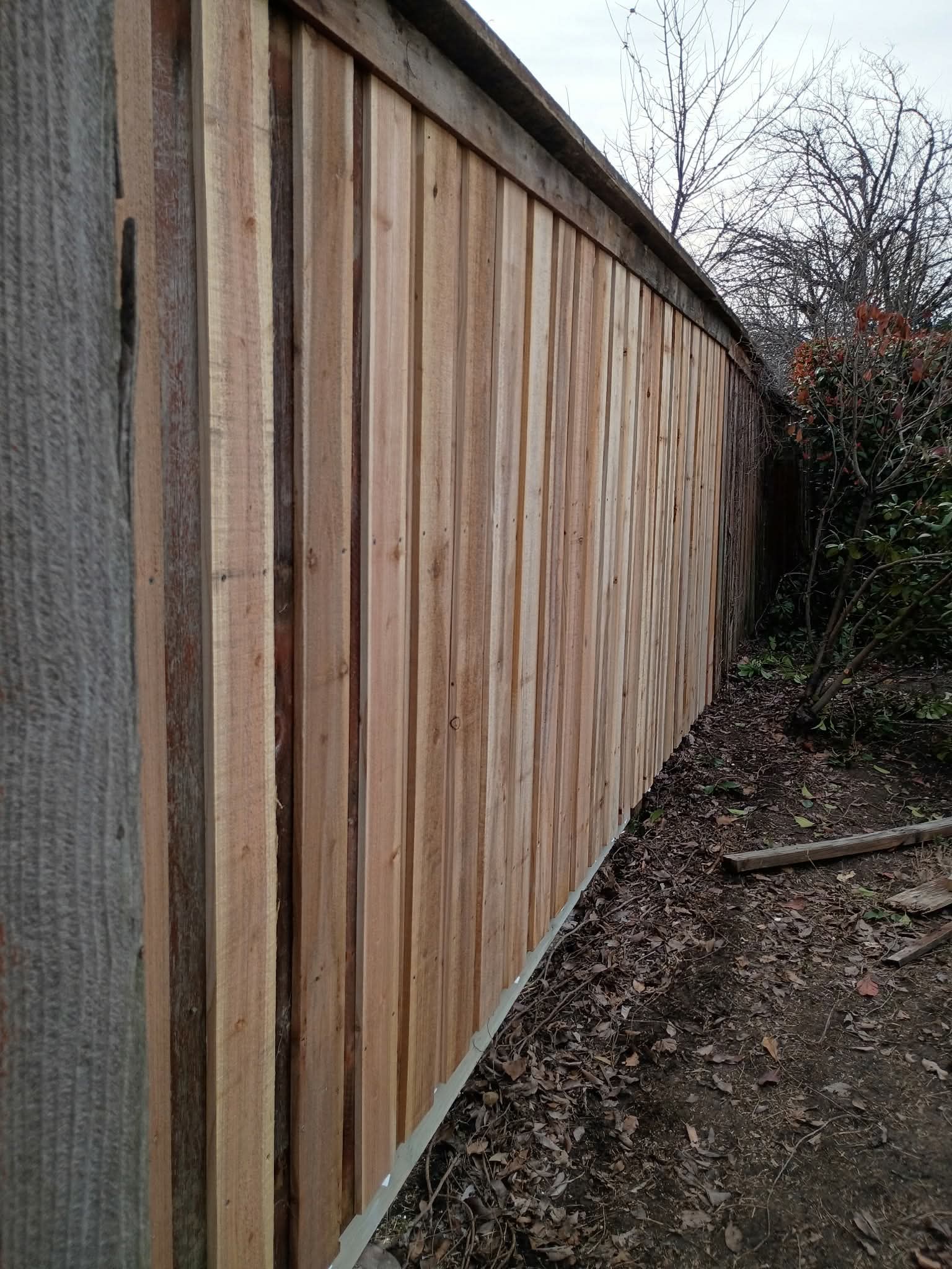 Long wooden fence with vertical planks receding into the distance beside a yard with leaves.